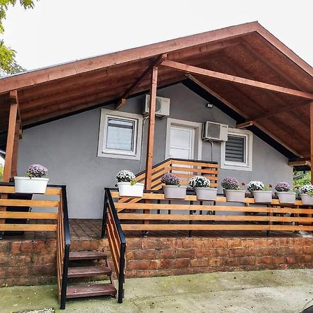 S. A. L. Prenociste Apartment Zrenjanin Luaran gambar